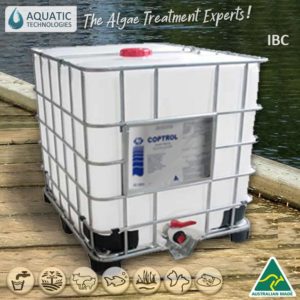 Blue-green-algae-in-drinking-water-coptrol-IBC-australia