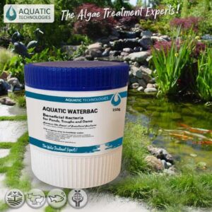 eliminate-excess-nutrients-organic-matter-water-v4