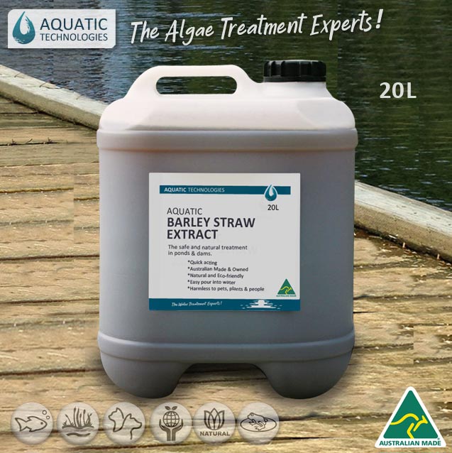 green-slime-in-pond-aquatic-barley-straw-extract-20L