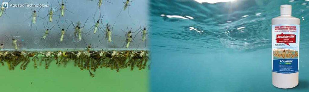 AMF film eradicates mosquitoes