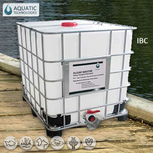 Algae Master in IBC container