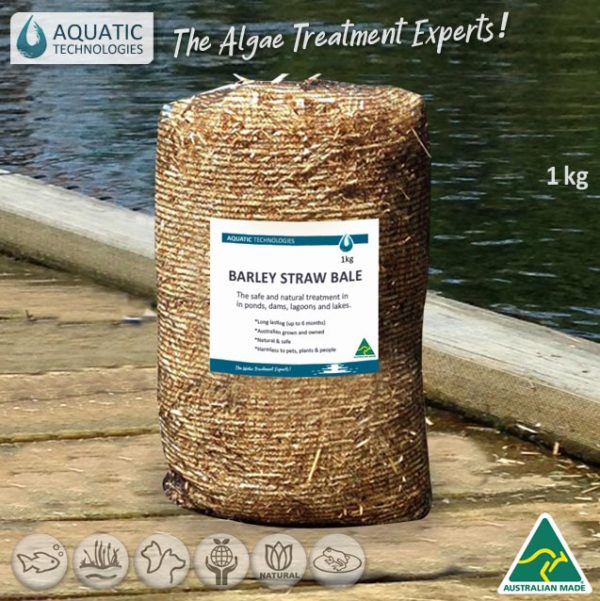 Aquatic Barley Straw Bale 1kg