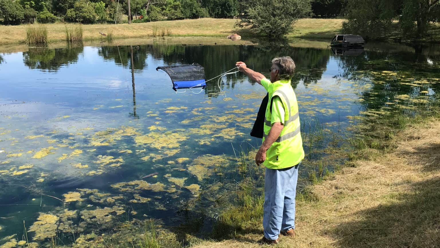 Algae Skimmer Aquatic Technologies