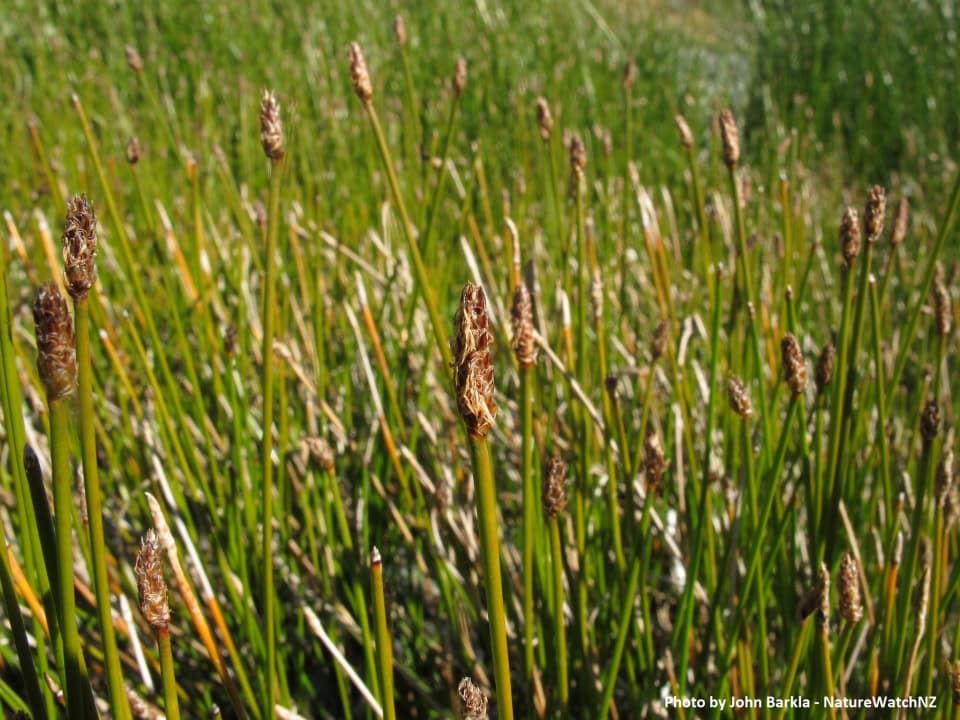 2733_20161215130719-1481760439_postcard