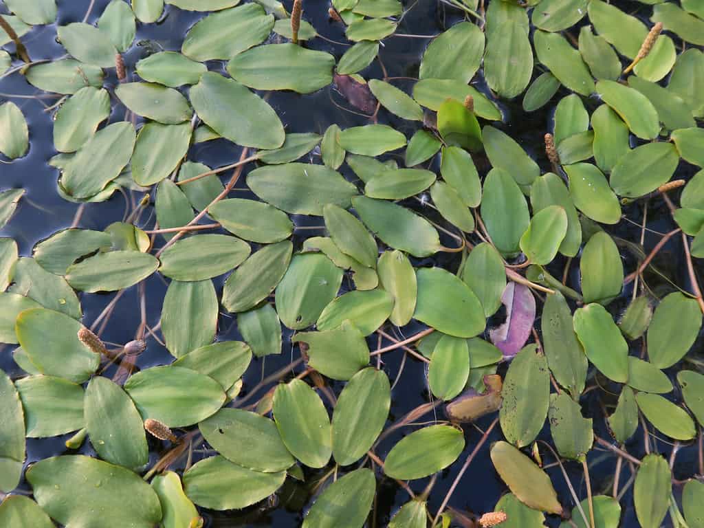 50300433423_e3bce23d20_b