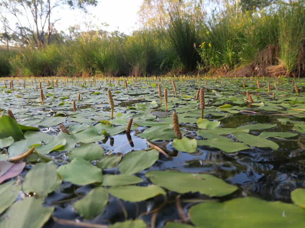 50300434598_07e7911b92_b