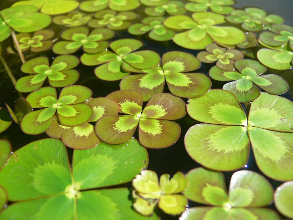 7835507342_155b6f4d72_b