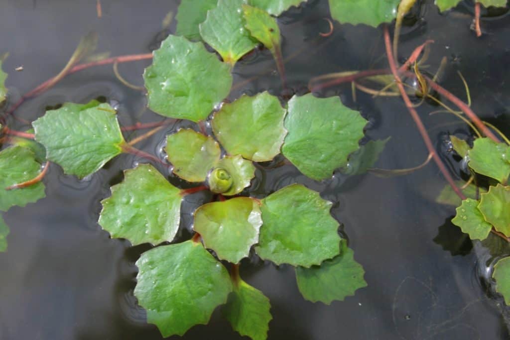 s794380190404048973_p26_i1_w1500