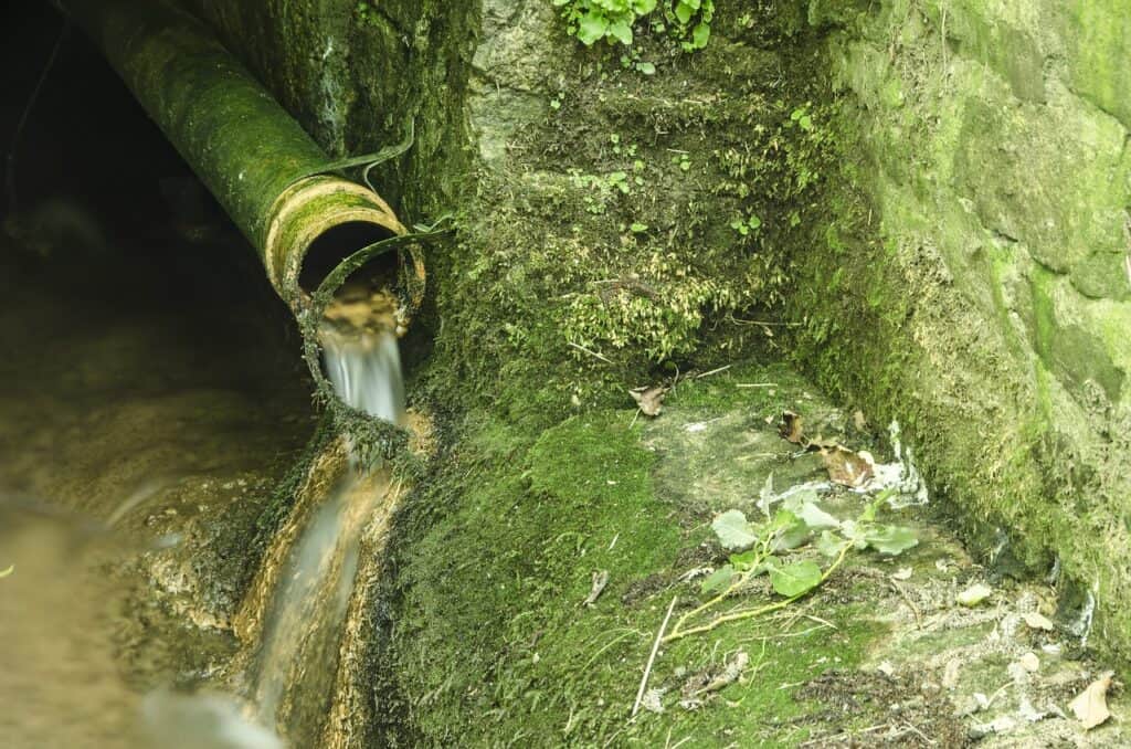 Pipe Moss vs. Algae Effective Solutions for Pipes"