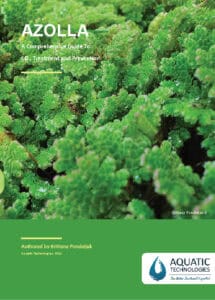 Azolla: A Comprehensive Guide to ID, Treatment and Prevention | Aquatic ...
