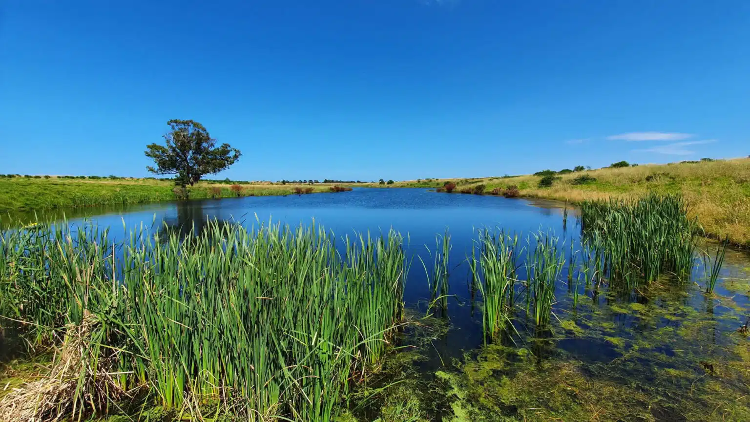 picture of an Australian dam