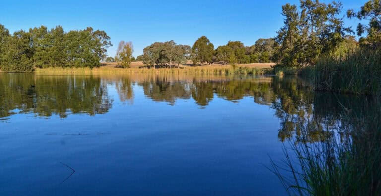 view of a lake